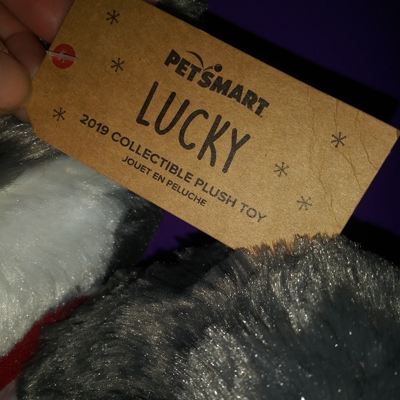 🆕Petsmart Dog Squeak Toys- Lot of 2 - Picture 6 of 11